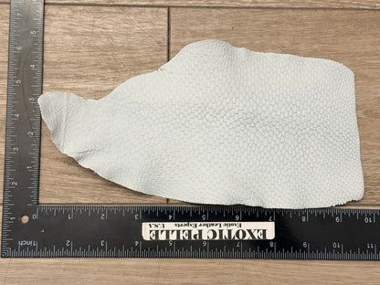 Genuine North American Beaver Tail Leather - White Crust WYSIWYG 184 product photo 2