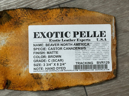 Genuine Beaver Tail Leather - Brown Matte WYSIWYG 129 product photo 4