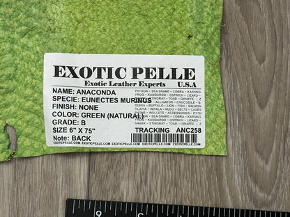 Green Natural Pattern Genuine Anaconda Snake Leather 258 product photo 7
