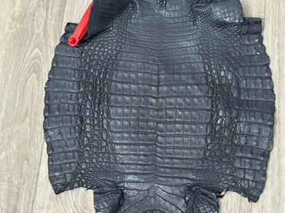 Blue Navy Genuine Caiman Crocodile belly Hide Leather Skin Gator Croc 548