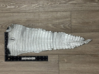 Silver Satin Crocodile Belly Tail Hide Leather Skin real alligator grey Croc 620