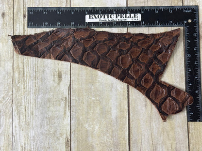 Brown Pirarucu Hide Genuine Skin Arapaimia Gigas Remnant Scrap Fish Leather 269