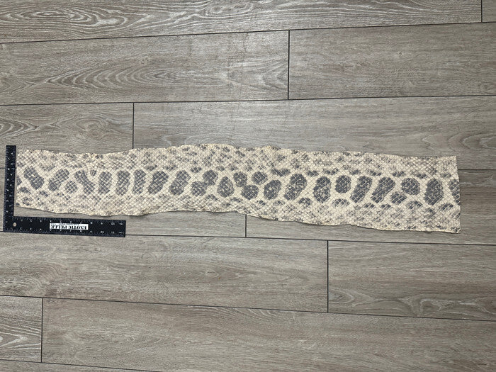 Bone Natural Genuine Anaconda Snake skin Leather hide python real boa rattle 187