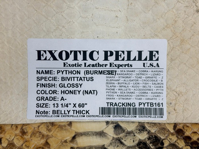 Genuine Burmese Python Belly - Honey Glossy WYSIWYG #161 product photo 4