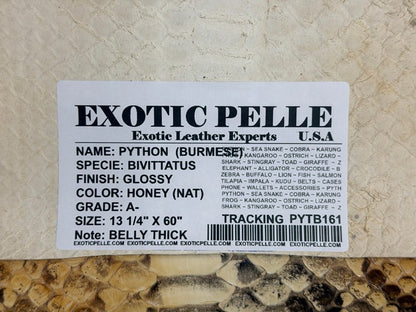Genuine Burmese Python Belly - Honey Glossy WYSIWYG #161 product photo 4