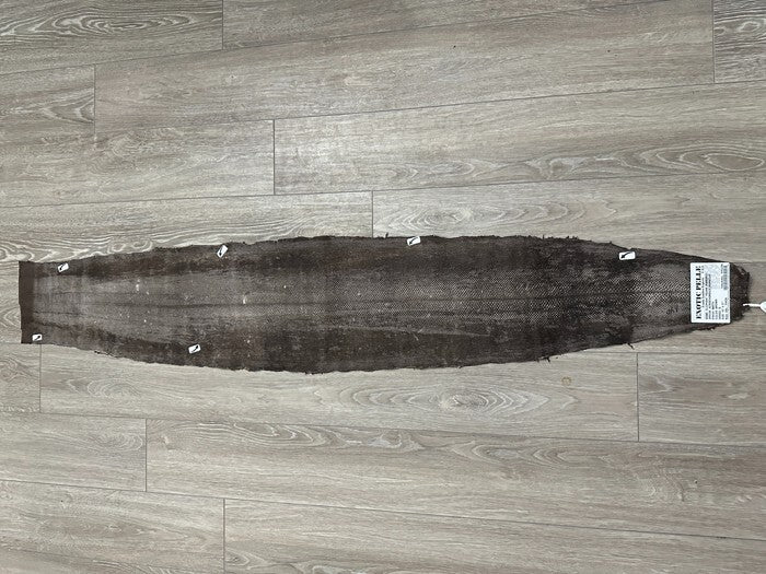 Brown Genuine Karung Elephant trunk Snake Hide Taxidermy leather Skin Rattle 506