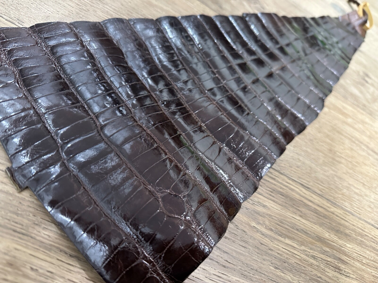 Brown Genuine Alligator Tail Hide Leather Skin Piece Scrap Gator Croc Belly 211