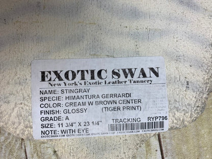 TIGER JUMBO Genuine Stingray Hide Skin Taxidermy Sting Ray Leather Shagreen 796