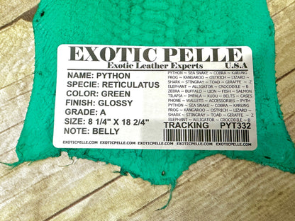 Green Piece Genuine Python Snakeskin Leather real hide snake skin Rattle 332