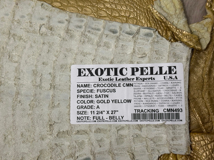 Gold Caiman Crocodile belly Hide Leather Skin alligator real Croc yellow 493