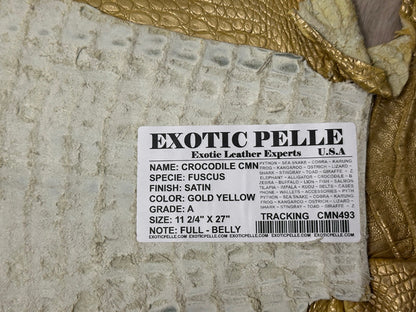 Gold Caiman Crocodile belly Hide Leather Skin alligator real Croc yellow 493