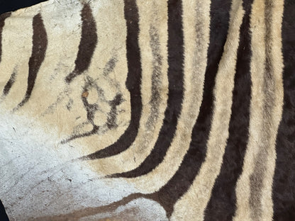 Natural Genuine Zebra Leather mini Rug ZBR18 product photo 14