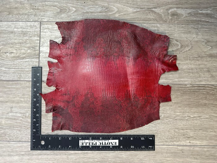Red Natural Genuine Ring Lizard Leather Hide Exotic Skin Teju Tegu Iguana 229