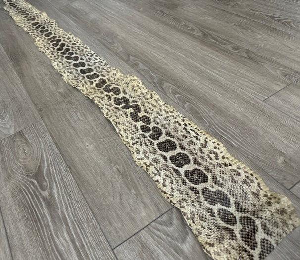 Ivory Natural Tan Anaconda Snake skin Leather real hide python boa rattle 303