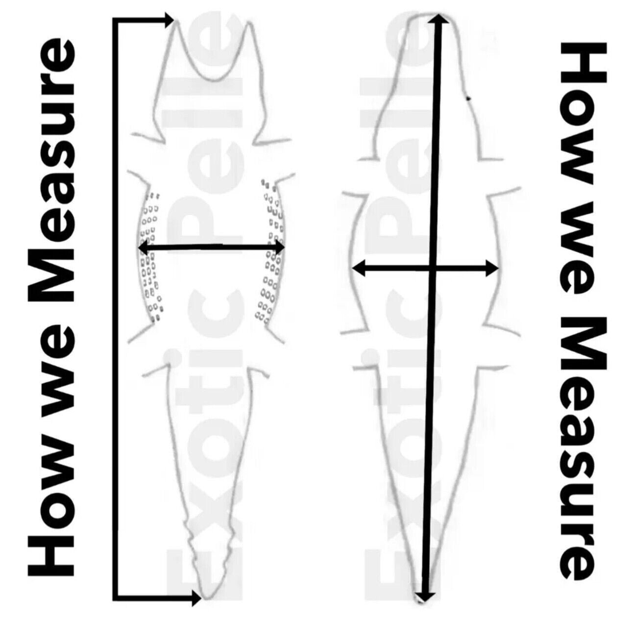 Silver On Purple Metallic Genuine Caiman Crocodile Leather product photo 7