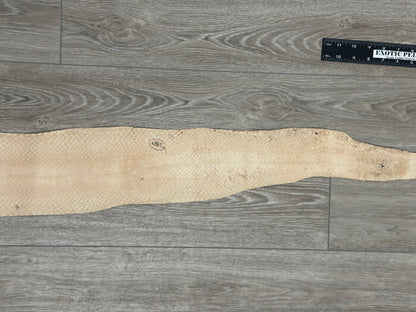 Silver Genuine Anaconda Leather real hide snake skin python boa rattle 282