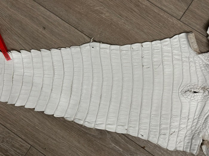 XL White Genuine Caiman Crocodile belly Hide Leather real alligator Croc 784