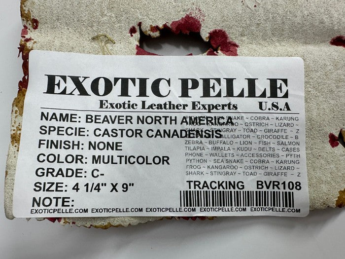 Multicolor Genuine Beaver Tail Crust Hide Skin Leather exotic fish shark 108