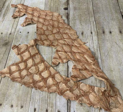 Ivory Pirarucu Hide Genuine Skin Arapaimia Gigas Remnant Scrap Fish Leather 259