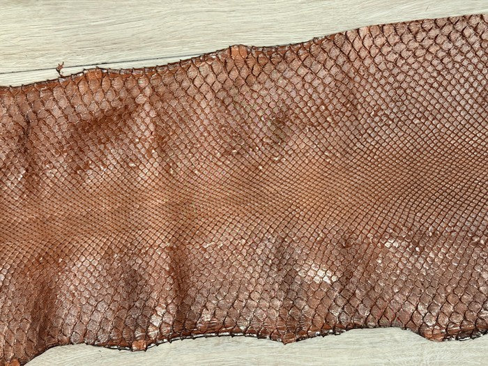 Silver On Brown Metallic Genuine Anaconda Snake Leather 538 product photo 4