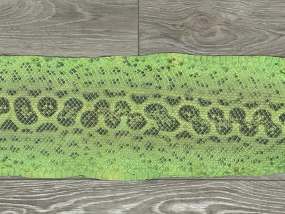 Green Natural Pattern Genuine Anaconda Snake Leather 258 product photo 3