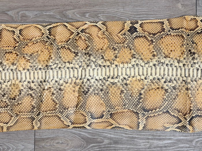 Genuine Burmese Python Belly - Honey Glossy WYSIWYG #161 product photo 3