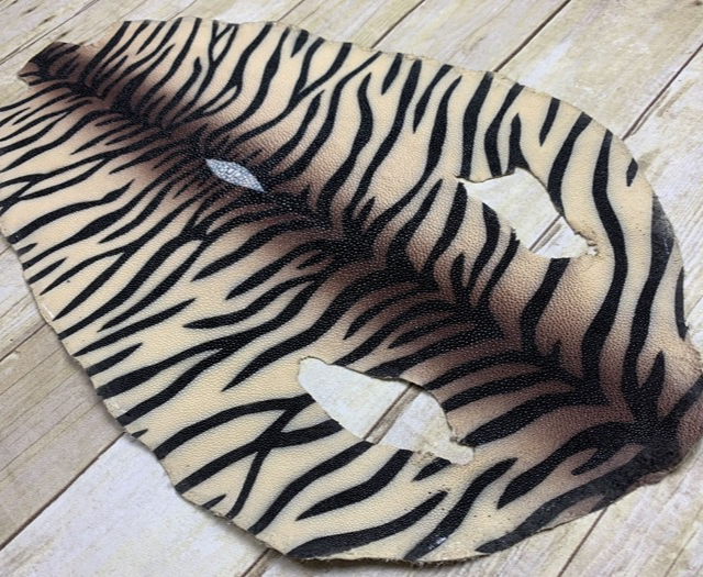 XXL Cream With Brown Center Glossy Tiger Print Genuine Stingray Fish Leather 798 product photo 1