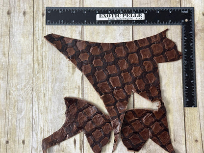 Brown Pirarucu Hide Genuine Skin Arapaimia Gigas Remnant Scrap Fish Leather 271