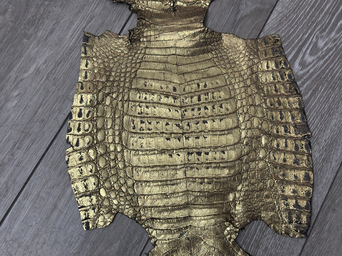 Gold Metallic Genuine Caiman Crocodile Belly Hide Leather Skin Alligator 471