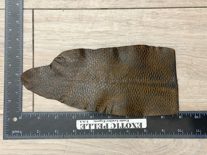 Genuine North American Beaver Tail Leather - Black On Brown WYSIWYG 195 product photo 2