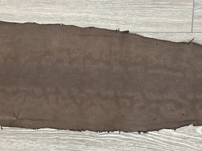 Brown Genuine Karung Elephant trunk Snake Hide Taxidermy leather Skin Rattle 506