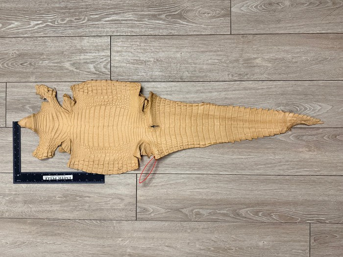 Genuine Caiman Crocodile Leather Tan Belly Cut Satin, product photo 2