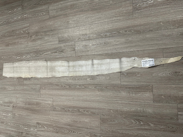 Gold on Natural Genuine Anaconda Leather hide snake skin python Boa rattle 285