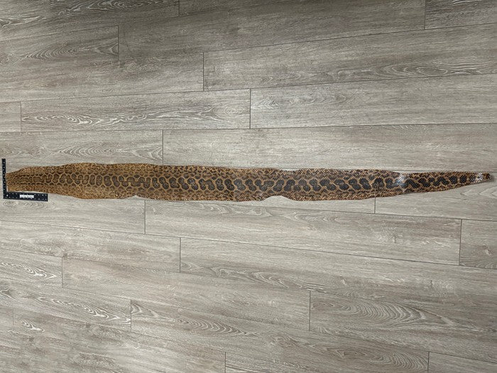 Tan Glossy Genuine Anaconda Leather real hide snake skin python boa rattle 327