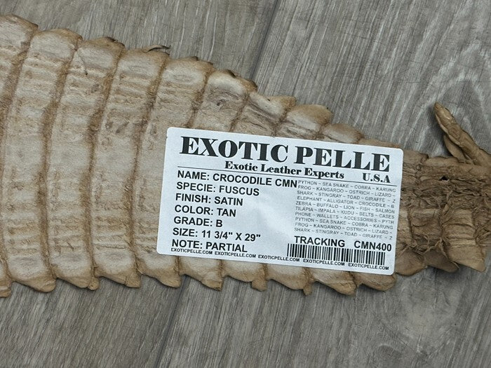 Tan Genuine Crocodile Belly Tail Hide Leather Skin real alligator croc 400