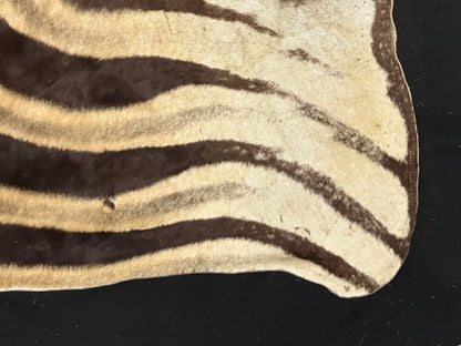 Natural Genuine Zebra Leather mini Rug ZBR18 product photo 15