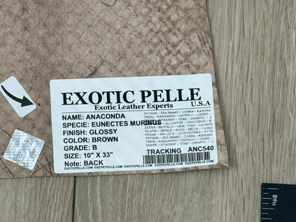 Brown Glossy Genuine Anaconda Leather ANC540 product photo 4