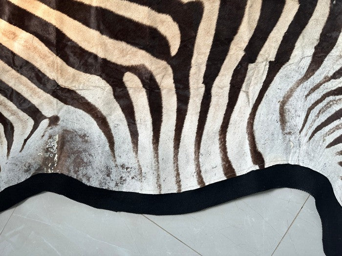 NEW JUMBO 10+ Foot Genuine African Burchells Zebra Rug Safari hair on Hide Skin