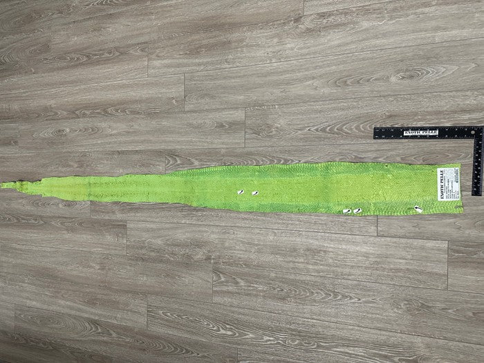 Green Natural Pattern Genuine Anaconda Snake Leather 258 product photo 4