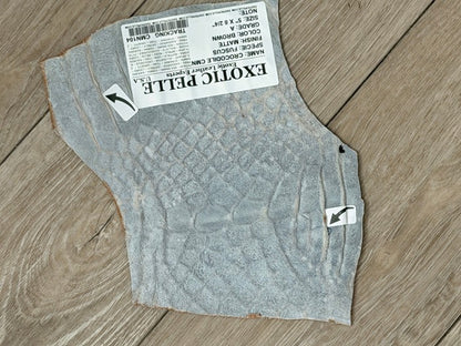 Brown Matte Genuine Caiman Crocodile Leather CMN104 product photo 3