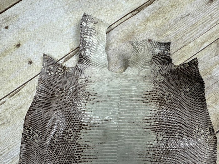 Natural Genuine Ring Lizard Leather Hide Exotic Skin Teju Tegu Iguana real 134