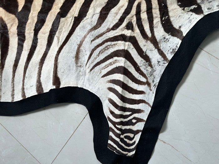 NEW JUMBO 10+ Foot Genuine African Burchells Zebra Rug Safari hair on Hide Skin