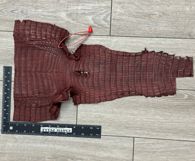 Wine Genuine Caiman Crocodile belly Hide Leather Skin real alligator Croc 338