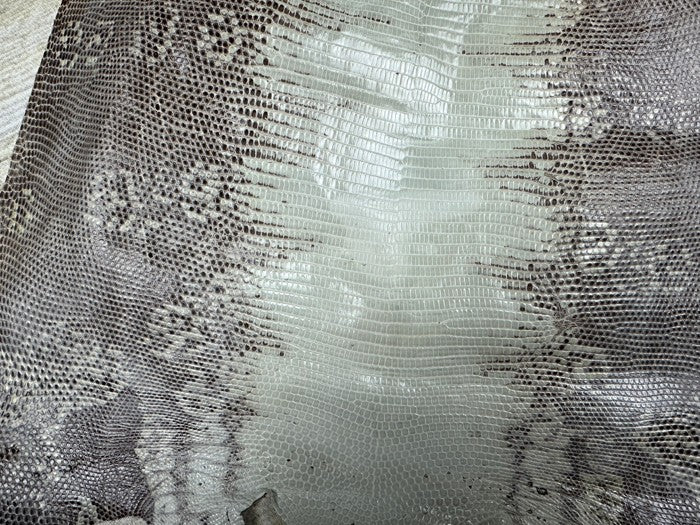 Natural Genuine Ring Lizard Leather Hide Exotic Skin Teju Tegu Iguana real 134