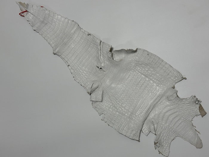 XL White Genuine Caiman Crocodile belly Hide Leather real alligator Croc 859