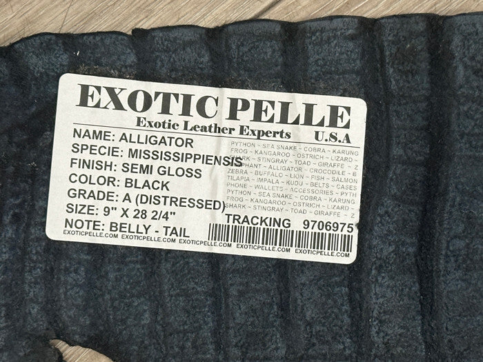 Black Genuine Alligator Tail Hide Leather Skin Piece Scrap Gator Croc Belly 975