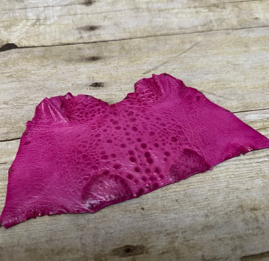 Pink TOAD Hide Genuine Leather GLOSSY cane frog Exotic rana Skin Taxidermy 274