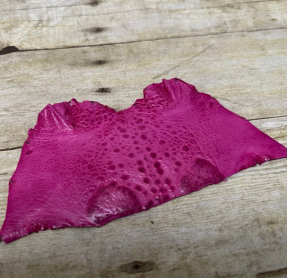 Pink TOAD Hide Genuine Leather GLOSSY cane frog Exotic rana Skin Taxidermy 274