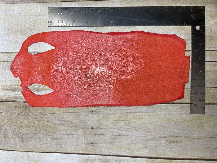 ORANGE Genuine Polished Sanded Stingray Hide Skin Sting Ray Leather Shagreen 931