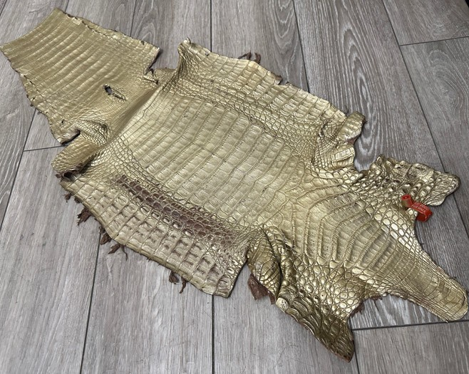 Gold Satin Genuine Caiman Crocodile Leather CMN495 product photo 1